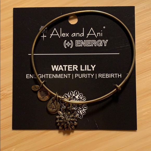 Alex and Ani Jewelry - Alex and Ani Bracelet